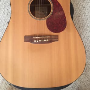 Martin dcm cutaway mahogany dreadnought hot sale
