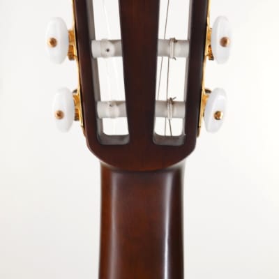 Walden SupraNatura Classical Guitar, Acoustic Nylon String 2010s image 8