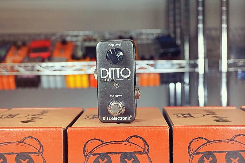 TC Electronic Ditto Looper