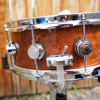 DW Collectors Exotic Natural Sapeli Pommele 5 1/2 x14" Snare Drum (New, Old Stock) image 8