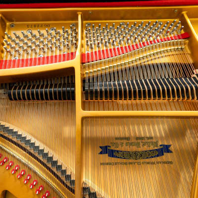 Hallet Davis & Co Classic Grand Piano | Polished Ebony | SN: DG22875 image 5