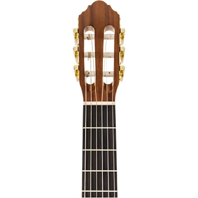 Peavey Delta Woods CNS 3/4 Size Classical Nylon String Acoustic Guitar image 3