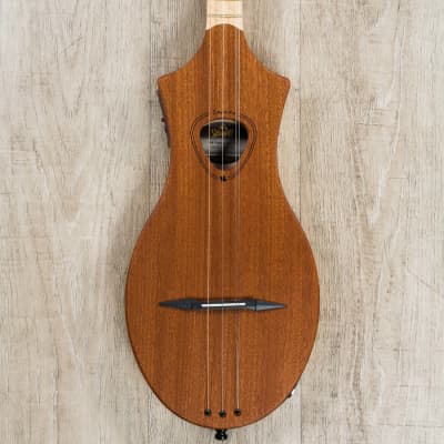 Seagull M4 Mahogany EQ 4-String Diatonic Acoustic Dulcimer Guitar w/ Built-In EQ image 2