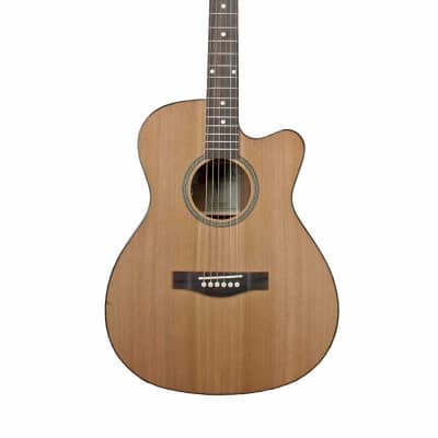 Teton STG105CENT 105 Series Grand Concert Solid Cedar Top Mahogany Neck 6-String Acoustic-Electric Guitar w/Hard Case image 4