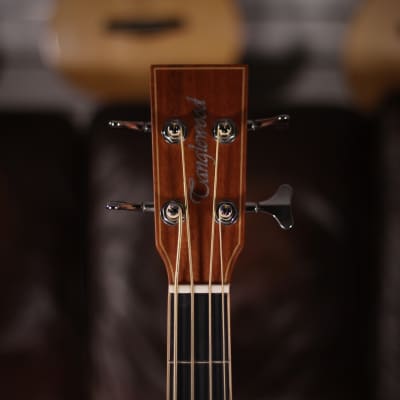 Tanglewood TW8 AB Acoustic Bass image 5