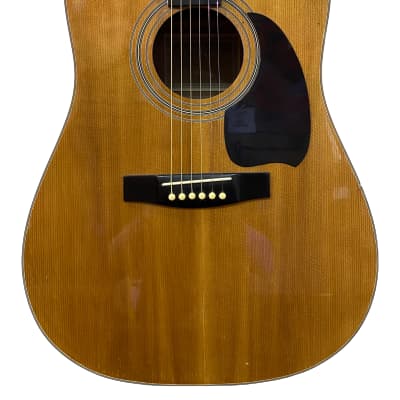 Hohner arbor store acoustic guitar