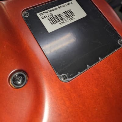Godin Multiac Grand Concert Nylon image 13