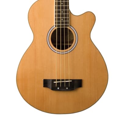Washburn - Natural Cutaway Acoustic Electric Bass! AB5 for sale