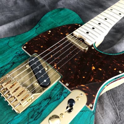 SCHECTER PS-PT-SP Ocean Green Maple | Reverb