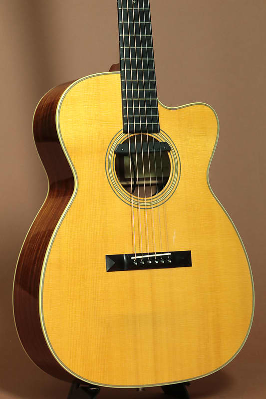 ギター Shoenberg Soloist 1990 (Thompson) Martin Schoenberg Guitars Soloist (Julius Borges) 1990's | Reverb
