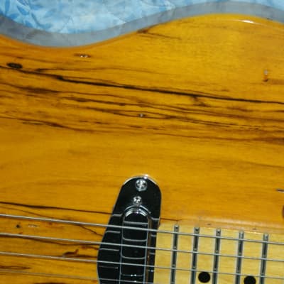 VZ Custom Guitars Spalted Maple Top T-Style image 5