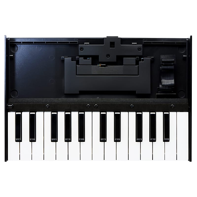 Roland Boutique K-25m Portable Keyboard image 1