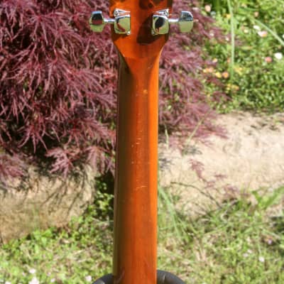 Koga 170 by Masao Koga Japan Vintage Circa 1970 Natural | Reverb