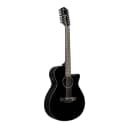 Ibanez AEG 12-String Acoustic-Electric Guitar (Right-Hand, Black)