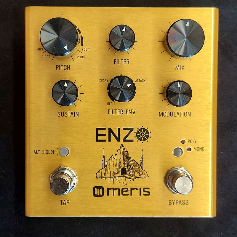 Meris Enzo