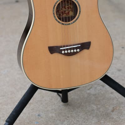 Tagima Canada Series Fernie Baby Acoustic Guitar Natural Finish image 1