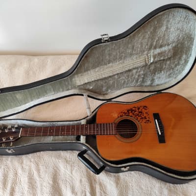 IBANEZ AW20 acoustic guitars