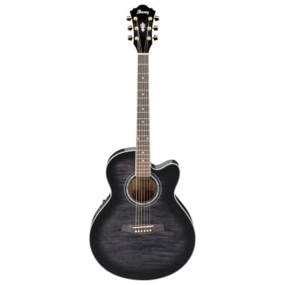 Ibanez AEL20E TKS Acoustic/Electric Guitar | Reverb