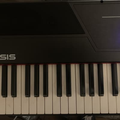 Alesis Recital Pro 88-Key Hammer Action Digital Piano 2010s - Black
