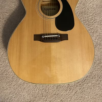 Epiphone FT-120 1976 Natural for sale