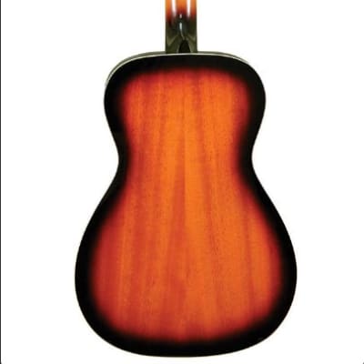 Gold Tone PBB Paul Beard Signature-Series Resonator Bass Guitar w/ Case image 2