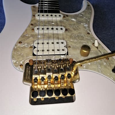 Fernandes LA-80KK - Ken Kitamura signature (L'Arc-en-Ciel