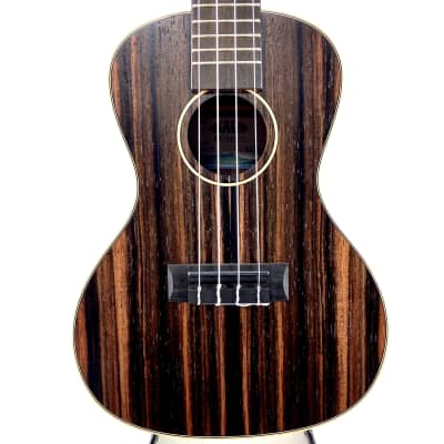 Kala, 4-String Ukulele, Natural, Concert (KA-EBY-C) | Reverb