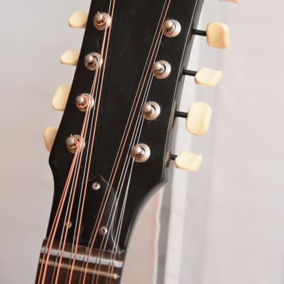 【イタリアンビンテージ】1960 Eko RANCHERO 12 12弦 アコギ Eko Ranchero 12-String Guitar with Gig Bag - Commission Sale