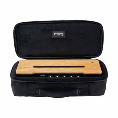 Moog SR Case for Etherwave Theremin (2022) [Three Wave Music] image 3