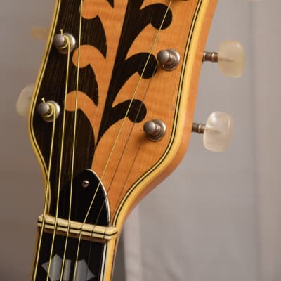 Arnold Hoyer 10b – 1959 German Vintage 6 String Western Flattop Guitar / Gitarre image 12