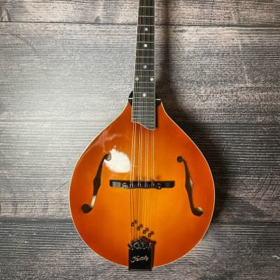 Kentucky KM-505 Mandolin (Cherry Hill, NJ)  (TOP PICK) for sale