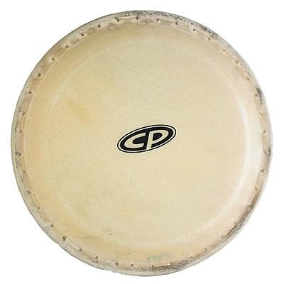 Latin Percussion 10" Rawhide Conga Head - Replacement For CP636-WRB Drums