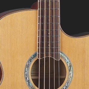 Michael Kelly Club Custom 5-String Acoustic Bass Natural image 1