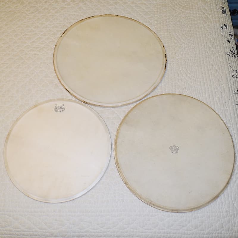 Kentville Drums 14” Kangaroo Hide Snare Drum Head w/ 2 Bonus Reverb