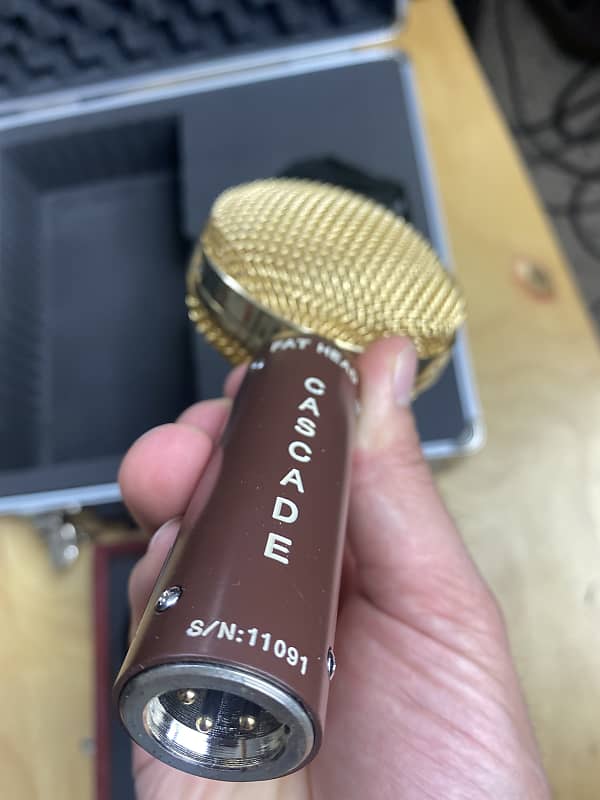 Two Cascade Fat heads (Ribbon Mic) Reverb