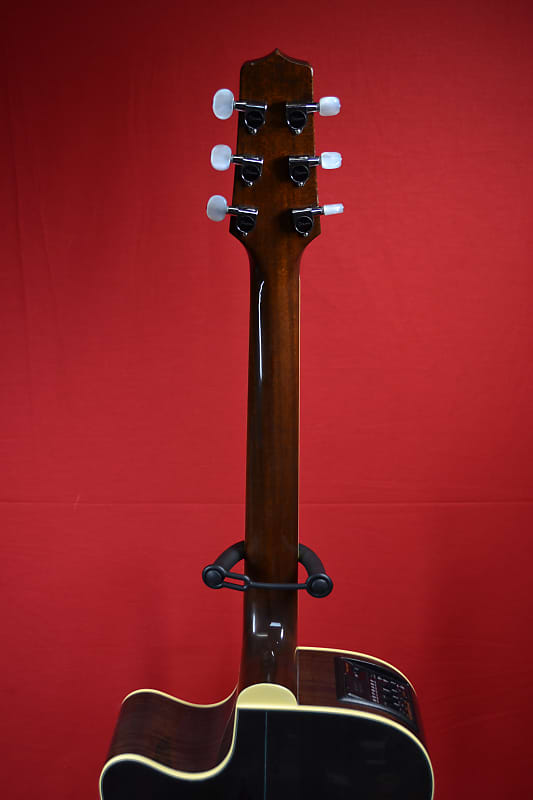 エビテン様　willinckii Limited Edition他 Takamine LTD 2002 - Limited Edition - WHALE Inlay | Reverb