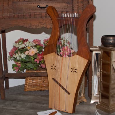 Kinnor Harp 2-Tone Color w/ Gig Bag & Extra Strings Set image 3
