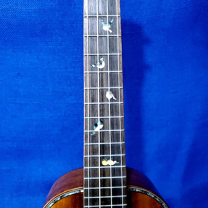 Ohana Concert CK-570G Select All Solid Koa Birds Abalone Inlay Ukulele –  Mim's Ukes