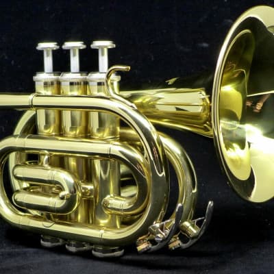 ACB Travel Bundle! Pocket Trumpet, Practice Mute, and Warburton PETE Pro! image 1