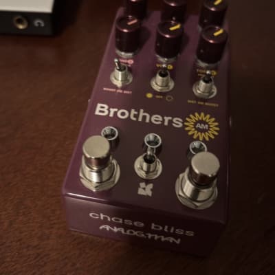Chase Bliss Audio Brothers AM | Reverb