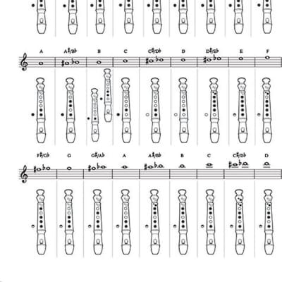 Adele - Recorder Fun! - with Easy Instructions & Fingering | Reverb