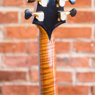 Victor Baker Model 14 Semi-Hollow 2018 - Beautiful Handmade Jazz Guitar image 8