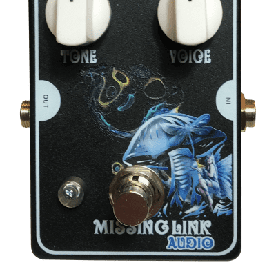 (DUANE ALLMAN )MISSING LINK AUDIO PEACOCK OVERDRIVE  FILLMORE EAST IN A BOX image 6