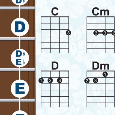 Beginner Ukulele Chords & Notes Poster BLUE for Soprano | Reverb