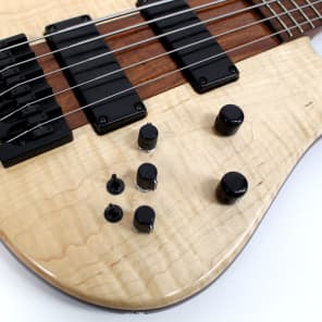 2007 USA Made Eshenbaugh Custom 5-String Electric Bass Guitar image 12