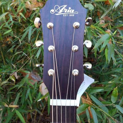Aria ARIA-101DP Delta Player Series OM / Orchestra, Spruce Top, image 6