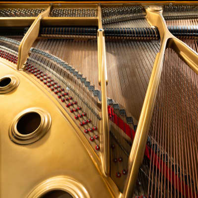 Schumann G-82 Grand Piano | Polished Ebony | SN: 855374 image 5