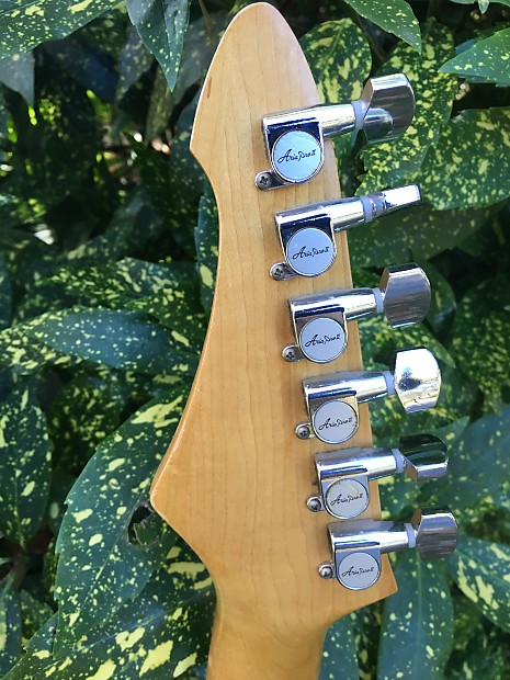 （訳ありセール 格安） RS II Pro Aria 1983 Rare Series MIJ Joint Smooth Original ギター