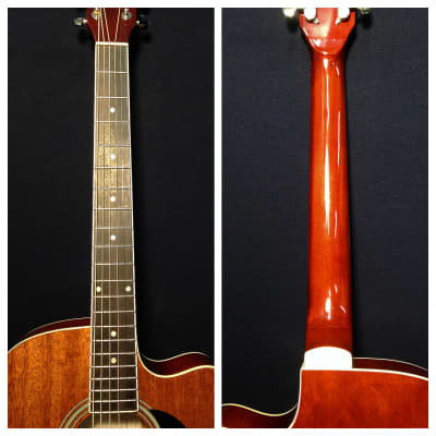 Haze Thin Body Acoustic Guitar w/Built-in EQ, Cutaway+Free Gig Bag-  F631BCEQBS