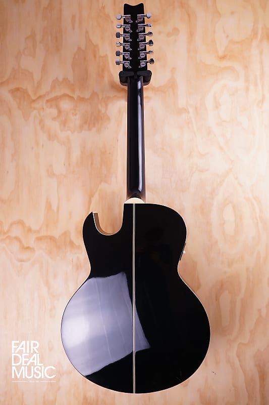 Washburn EA20 12-String in Black, USED | Reverb